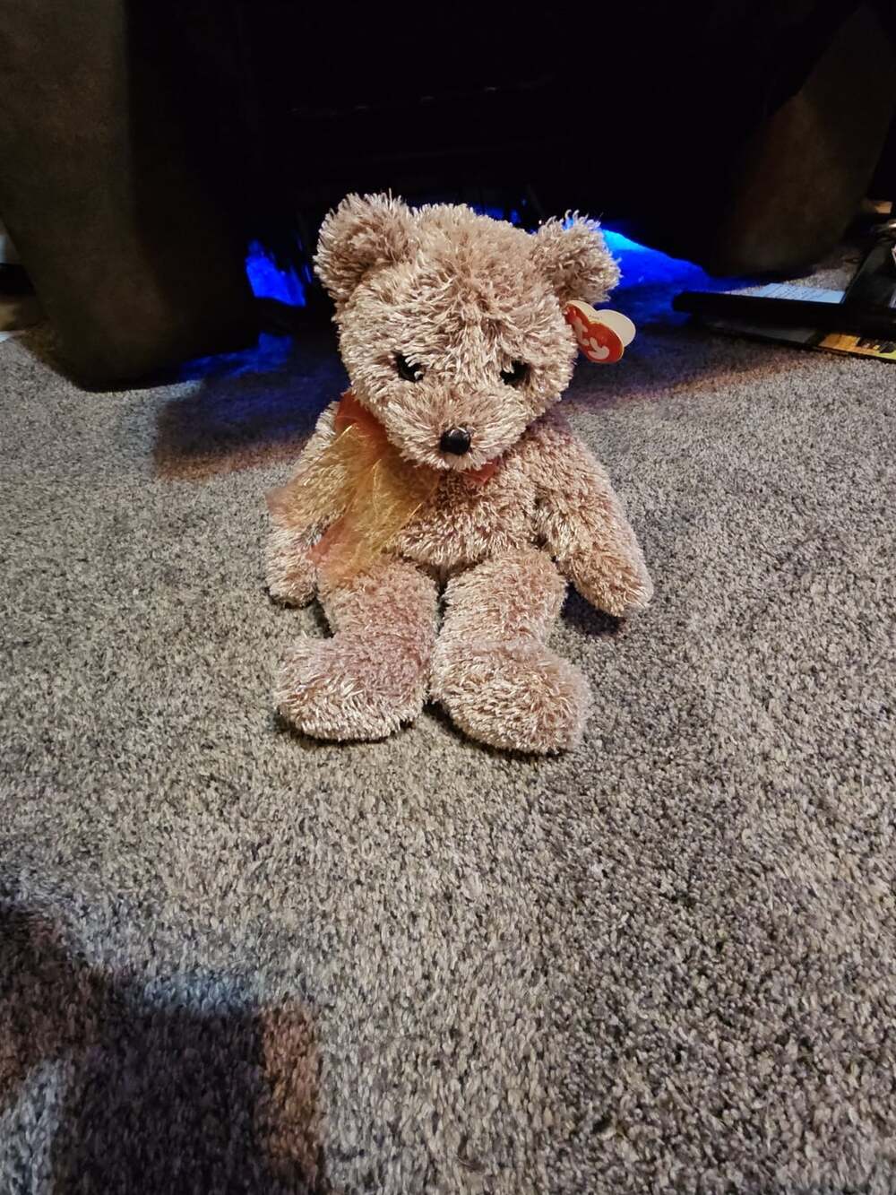 2002 TY CLASSIC PLUSH 13" Java the Bear Buddy